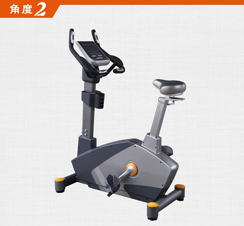 BCE201 磁控豪华立式健身车向日葵污视频APP下载批发 健身车大全大图展示1