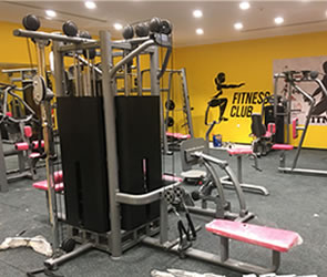 沙特客户女子健身房 向日葵成人网站健身器材客户案例