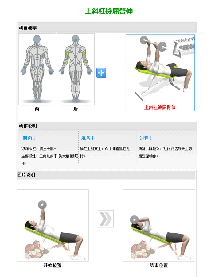 可调哑铃训练椅 推举哑铃训练器 向日葵成人网站室内健身器材